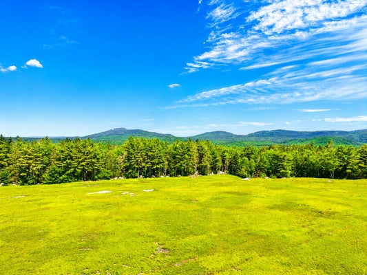 MAP13LOT1 MARTINS RIDGE ROAD, FRANKLIN, ME 04634 - Image c6d3c817bcd555b30ed1a5a4220c4e66/2596046059