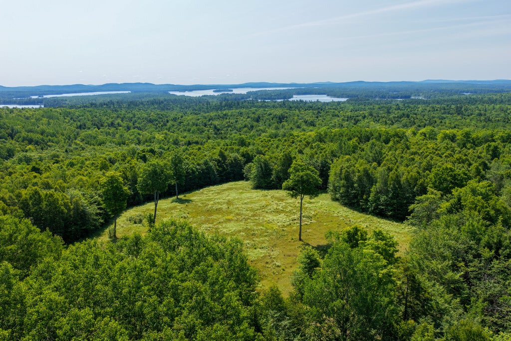 Photo of 113 Town Hall Road, Lakeville, ME 04487 (MLS # 1671541)