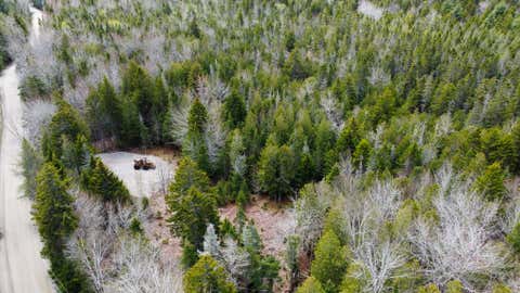 Photo of 58 High Head Road, East Machias, ME 04630 (MLS # 1662410)