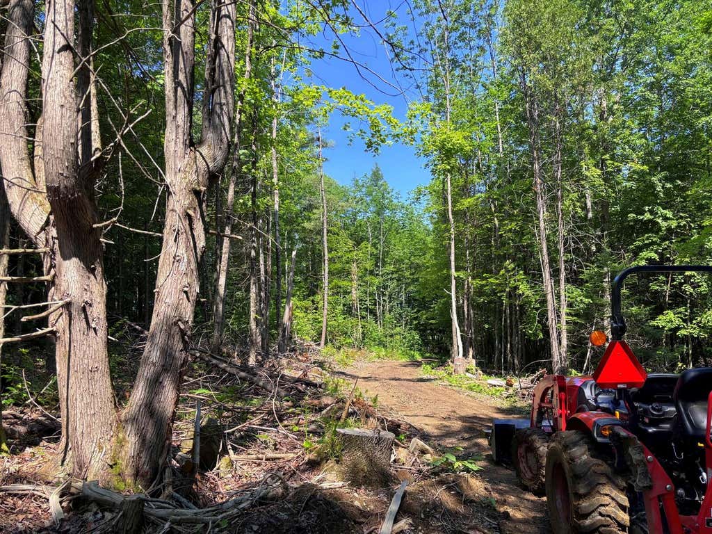 Photo of 139 Wildlife Lane, New Sharon, ME 04955 (MLS # 1670053)