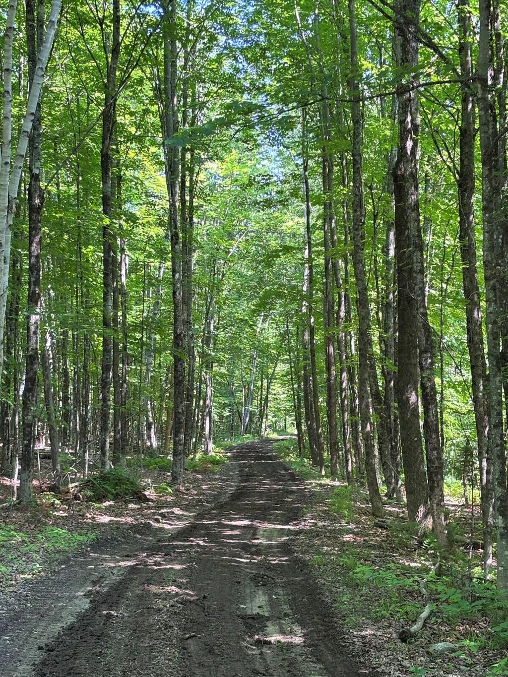 Photo of 139 Wildlife Lane, New Sharon, ME 04955 (MLS # 1670053)