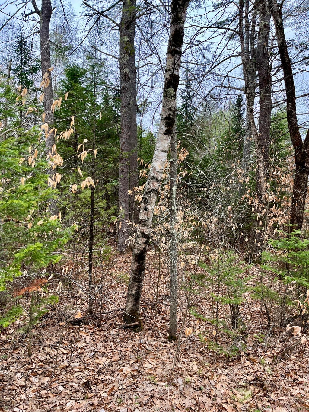 Photo of 0009A Church Hill Road, Leeds, ME 04263 (MLS # 1666898)