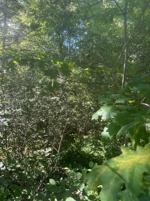 Photo of Lot 5 W Side Unionville Road, Steuben, ME 04680 (MLS # 1679067)