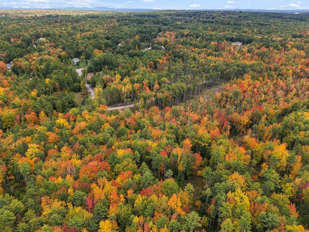 Photo of TBD Webostra Road #TBD, Berwick, ME 03901 (MLS # 1684844)