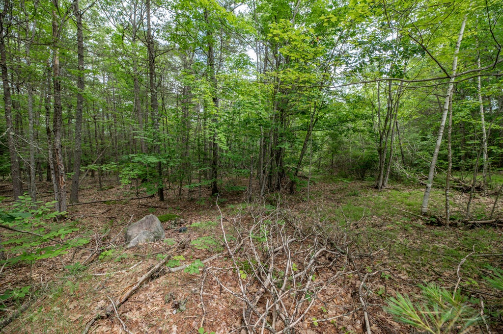 Photo of 000 Caldwell Drive, Farmingdale, ME 04344 (MLS # 1683507)