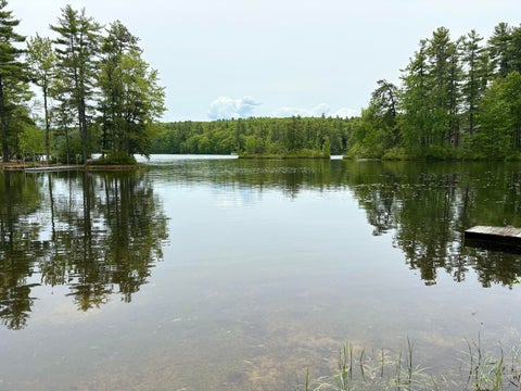 Photo of 0 Whitehouse Road, Newfield, ME 04095 (MLS # 1665585)