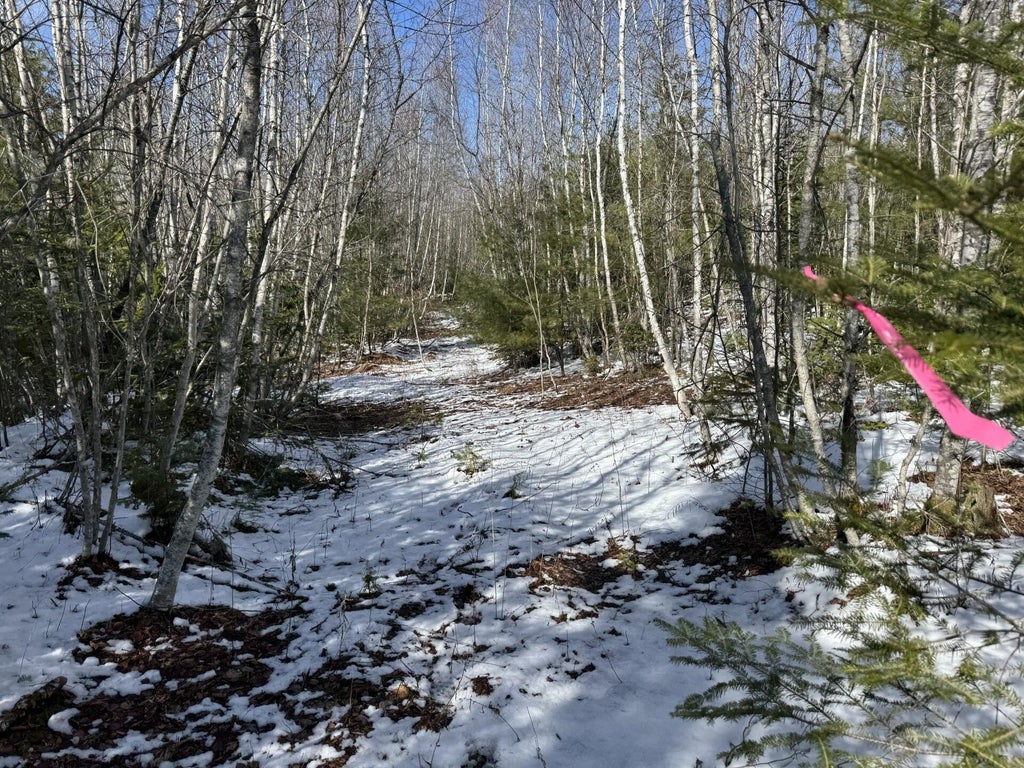 Photo of Lot 21 Bog Road, Benton, ME 04901 (MLS # 1660865)