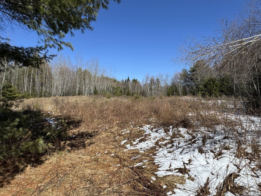 Photo of Lot 21 Bog Road, Benton, ME 04901 (MLS # 1660865)