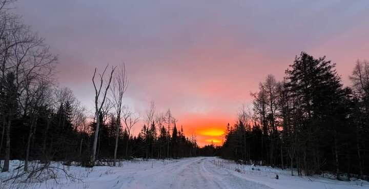 Photo of 17 Cedar Valley Drive, Mount Chase, ME 04765 (MLS # 1684194)