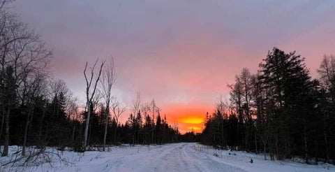 Photo of 17 Cedar Valley Drive, Mount Chase, ME 04765 (MLS # 1684194)