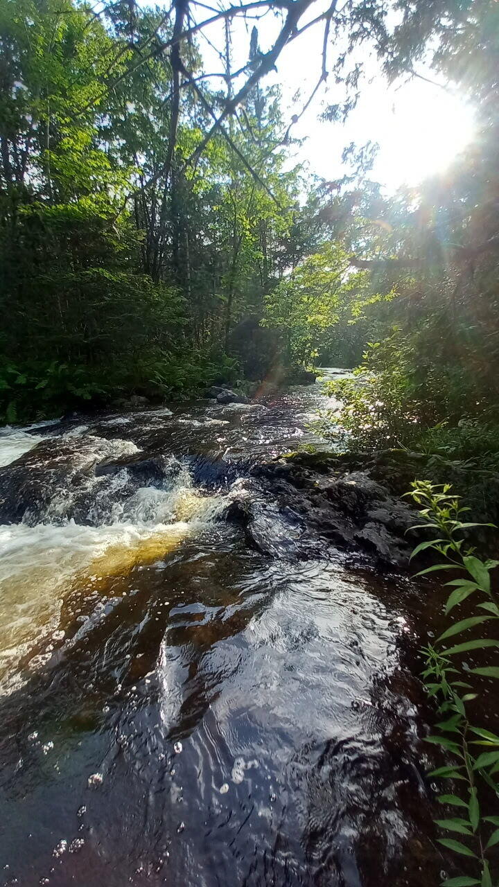 Photo of 17 Cedar Valley Drive, Mount Chase, ME 04765 (MLS # 1684194)