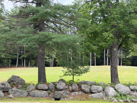 Photo of 0 Patterson Road, Mechanic Falls, ME 04256 (MLS # 1677326)