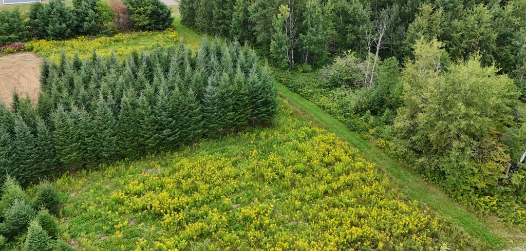 Photo of 1 E Village Acres Dr. Drive E, Easton, ME 04740 (MLS # 1676773)