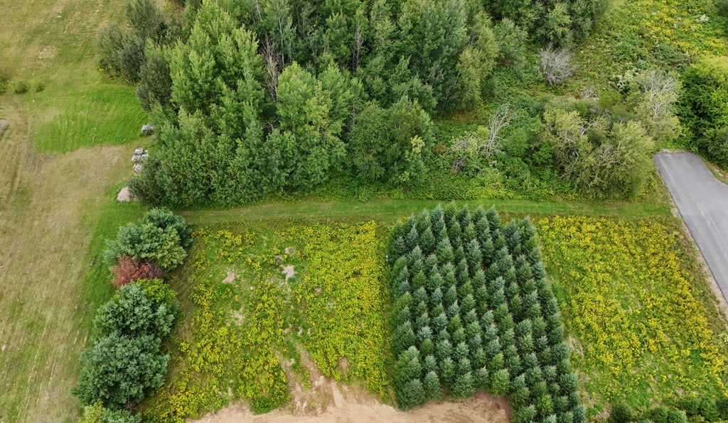 Photo of 1 E Village Acres Dr. Drive E, Easton, ME 04740 (MLS # 1676773)