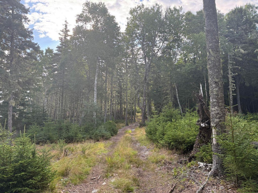 Photo of Lot 10-1 N Sutton Island, Cranberry Isles, ME 04625 (MLS # 1676916)