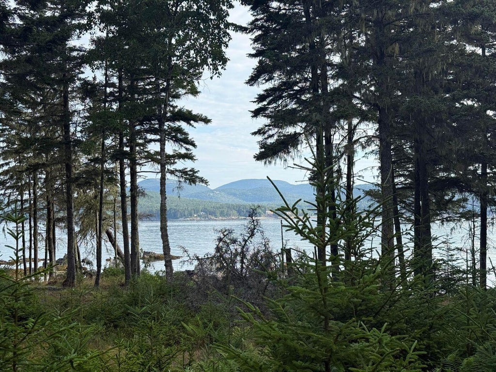 Photo of Lot 10-1 N Sutton Island, Cranberry Isles, ME 04625 (MLS # 1676916)