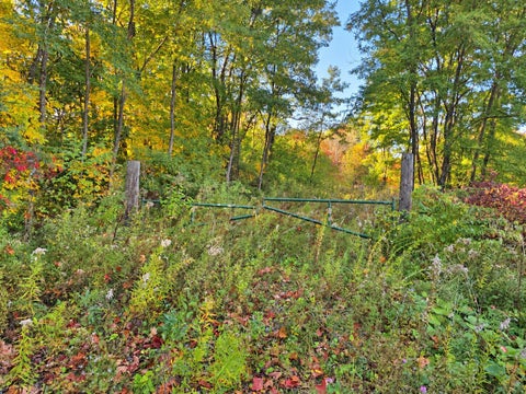 Photo of 01-0-057 Kennebec Road, Hampden, ME 04444 (MLS # 1683694)