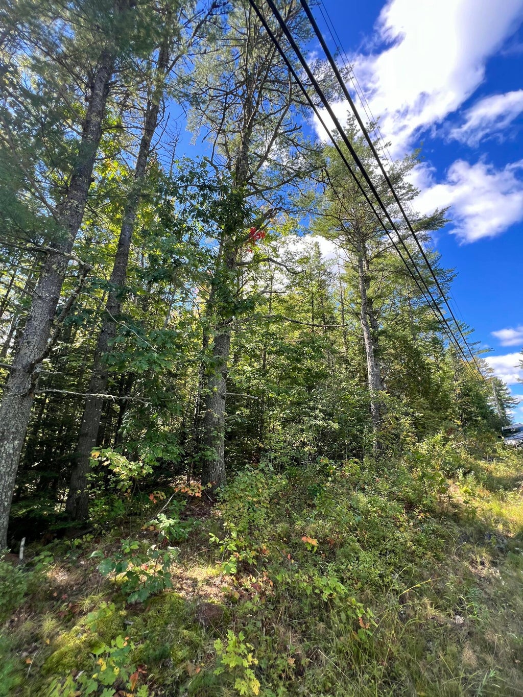 Photo of 209AB E Brown's Point Road E, Bowdoinham, ME 04008 (MLS # 1682035)