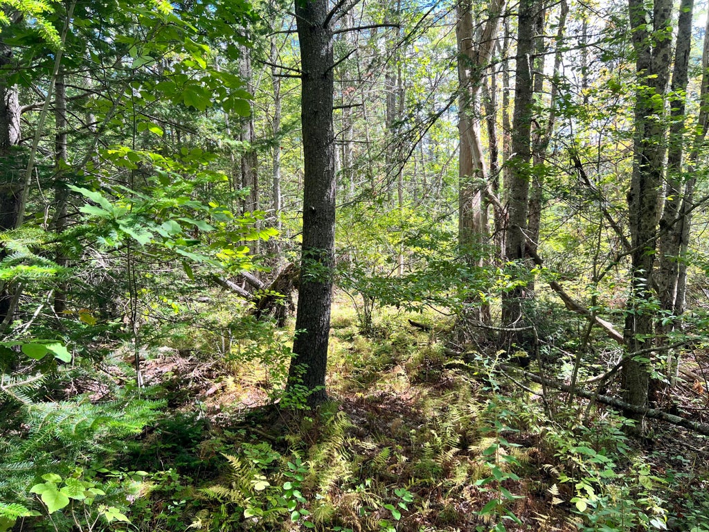 Photo of 209AB E Brown's Point Road E, Bowdoinham, ME 04008 (MLS # 1682035)