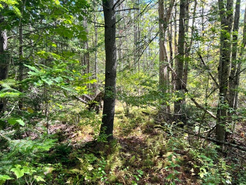 Photo of 209AB E Brown's Point Road E, Bowdoinham, ME 04008 (MLS # 1682035)