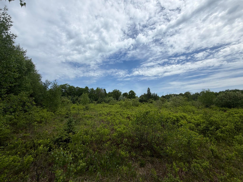 Photo of M7 L6A Osgood Road, Carroll Plt, ME 04487 (MLS # 1667637)