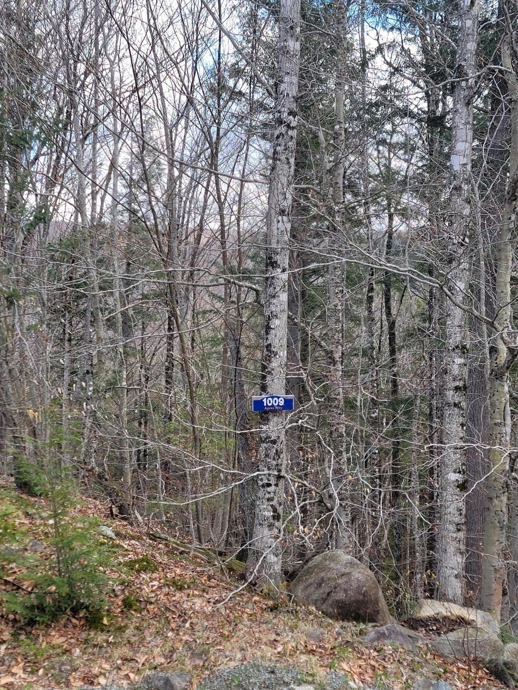 Photo of 1009 Apres Way, Carrabassett Valley, ME 04947 (MLS # 1671018)