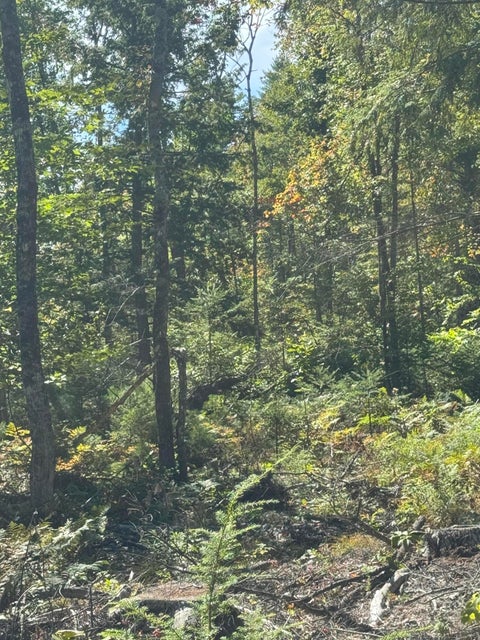 Photo of Lot 31-I Old Waterford Road, Lovell, ME 04051 (MLS # 1682204)