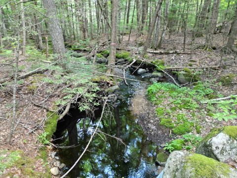 Photo of Lot 18-2 Madagascal Pond Road, Burlington, ME 04417 (MLS # 1673259)