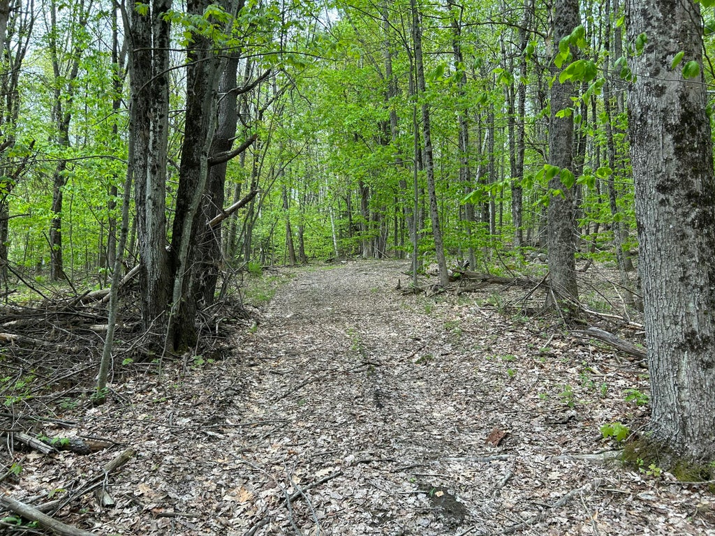 Photo of 281 Randall Road, Lewiston, ME 04240 (MLS # 1666227)