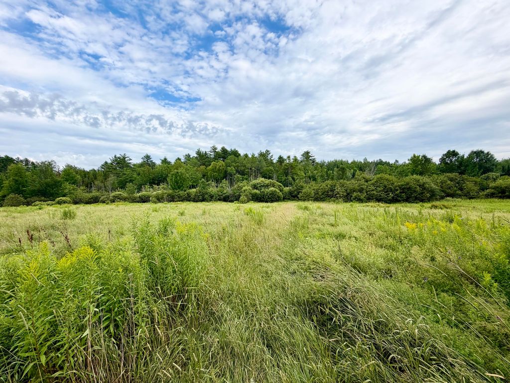 Photo of 142 Lake Road, Levant, ME 04456 (MLS # 1673508)