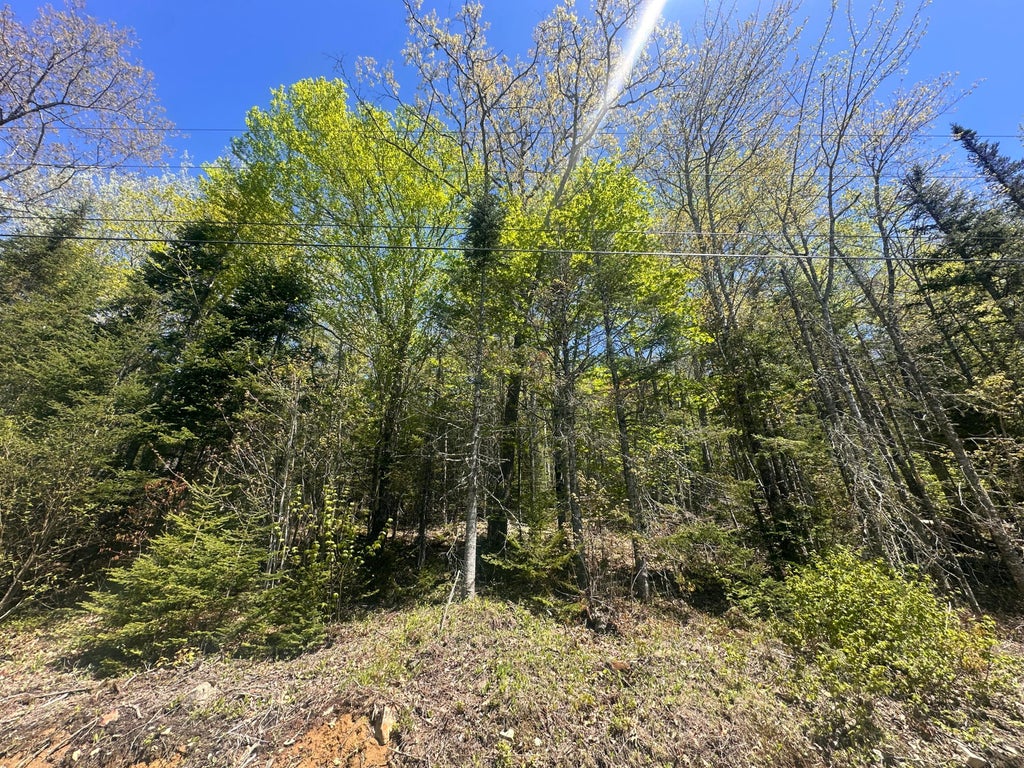 Photo of 237 Knights Pond Road, Northport, ME 04849 (MLS # 1656396)