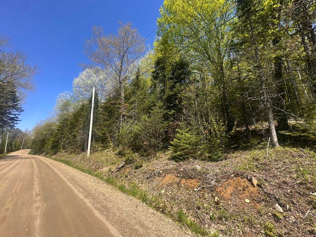 Photo of 237 Knights Pond Road, Northport, ME 04849 (MLS # 1656396)