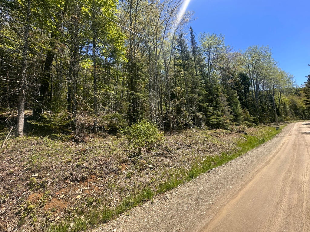 Photo of 237 Knights Pond Road, Northport, ME 04849 (MLS # 1656396)