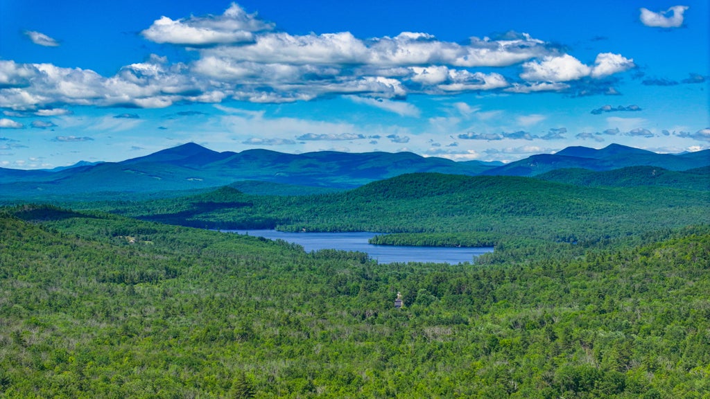 Photo of 109 Littlefield Road, Stoneham, ME 04231 (MLS # 1668609)