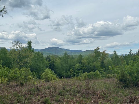 Photo of Lot #20 Hollis Drive (Eagle Ridge) Road, Kingfield, ME 04947 (MLS # 1661536)