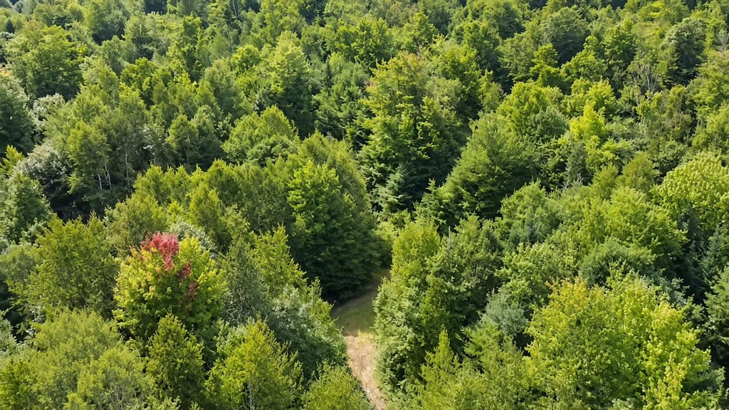 Photo of 0 Goodwin Road #Lot 7, Carthage, ME 04224 (MLS # 1684810)
