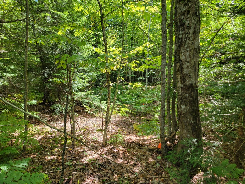 Photo of B-2BackLot Pioneer Path, Aurora, ME 04605 (MLS # 1676956)