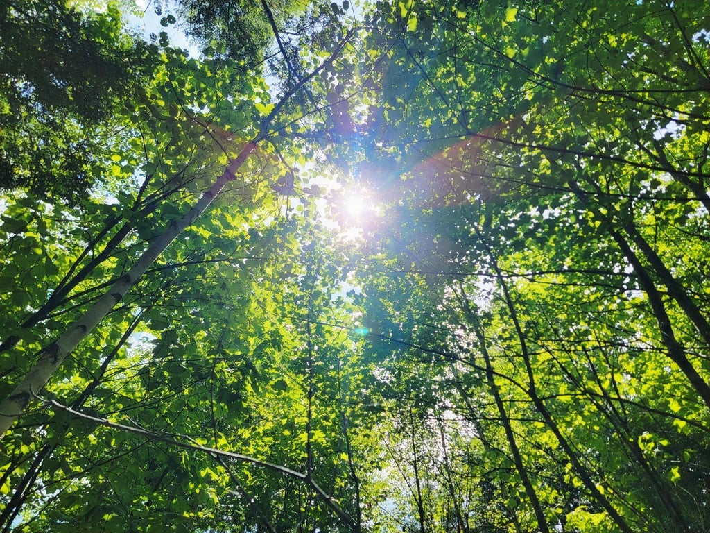 Photo of B-2BackLot Pioneer Path, Aurora, ME 04605 (MLS # 1676956)