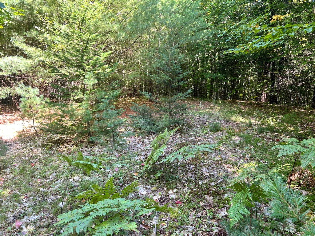 Photo of 27 Lookout Mountain Lane, Greenwood, ME 04255 (MLS # 1680858)