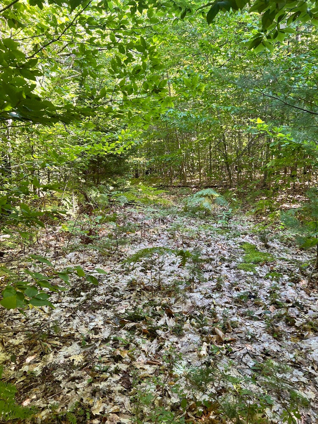 Photo of 27 Lookout Mountain Lane, Greenwood, ME 04255 (MLS # 1680858)