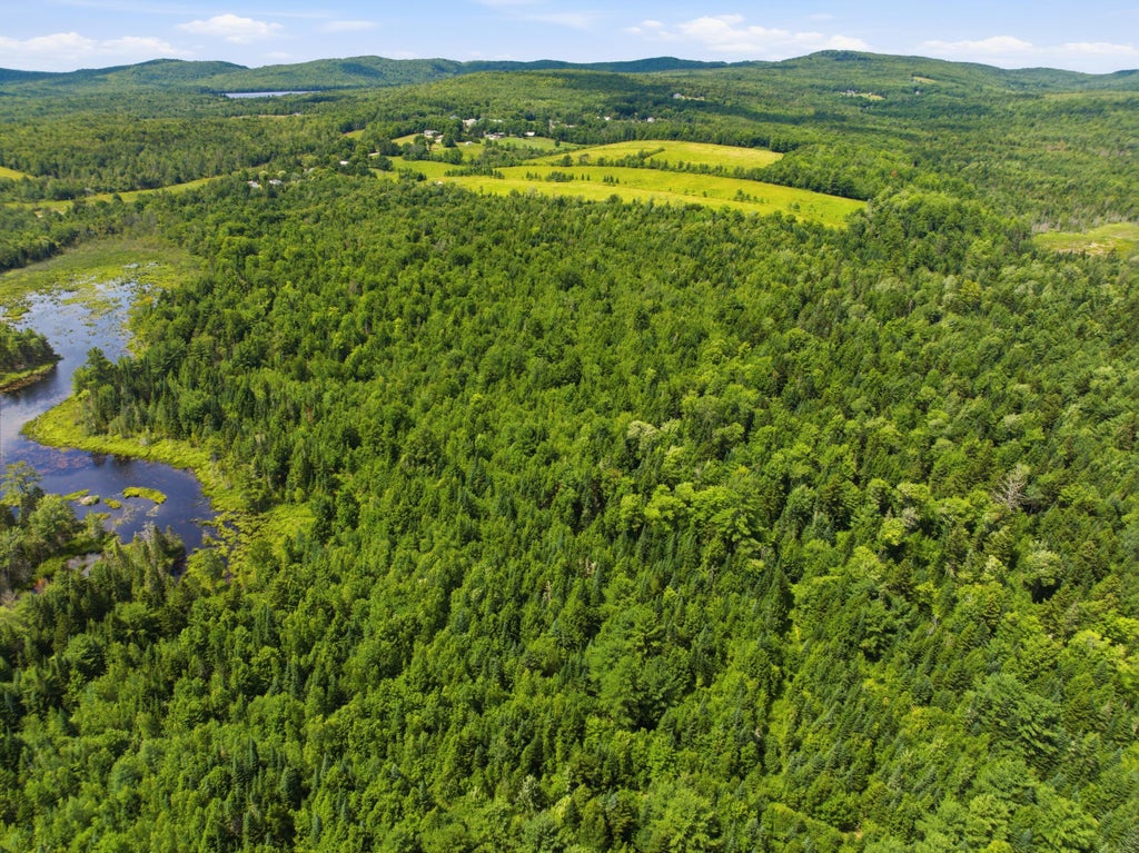 Photo of 168 South Road, Topsfield, ME 04490 (MLS # 1670850)