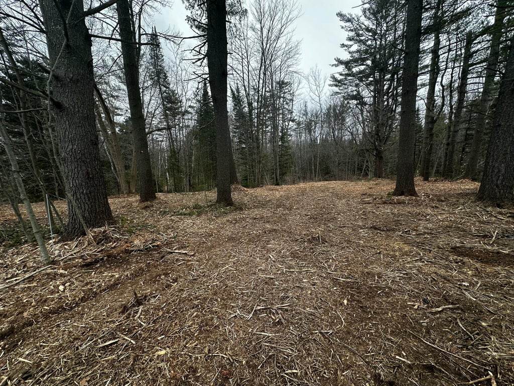 Photo of M14L10 Waterville Road, Skowhegan, ME 04976 (MLS # 1620331)