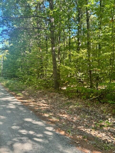 Photo of 058-001 Watertower Lane, Jay, ME 04239 (MLS # 1682183)