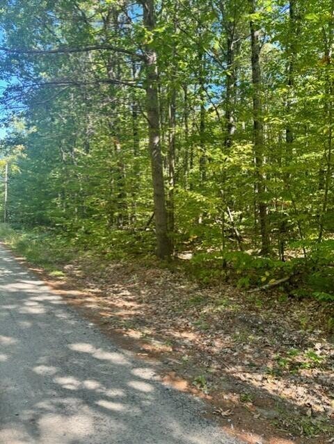 Photo of 058-001 Watertower Lane, Jay, ME 04239 (MLS # 1682183)