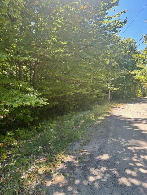 Photo of 058-001 Watertower Lane, Jay, ME 04239 (MLS # 1682183)