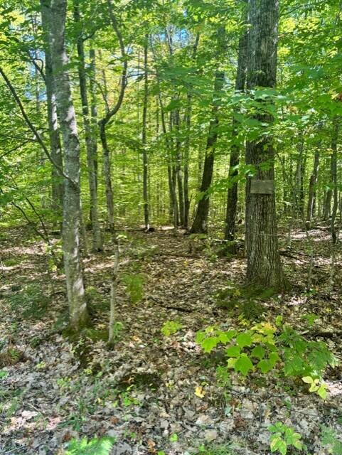 Photo of 058-001 Watertower Lane, Jay, ME 04239 (MLS # 1682183)