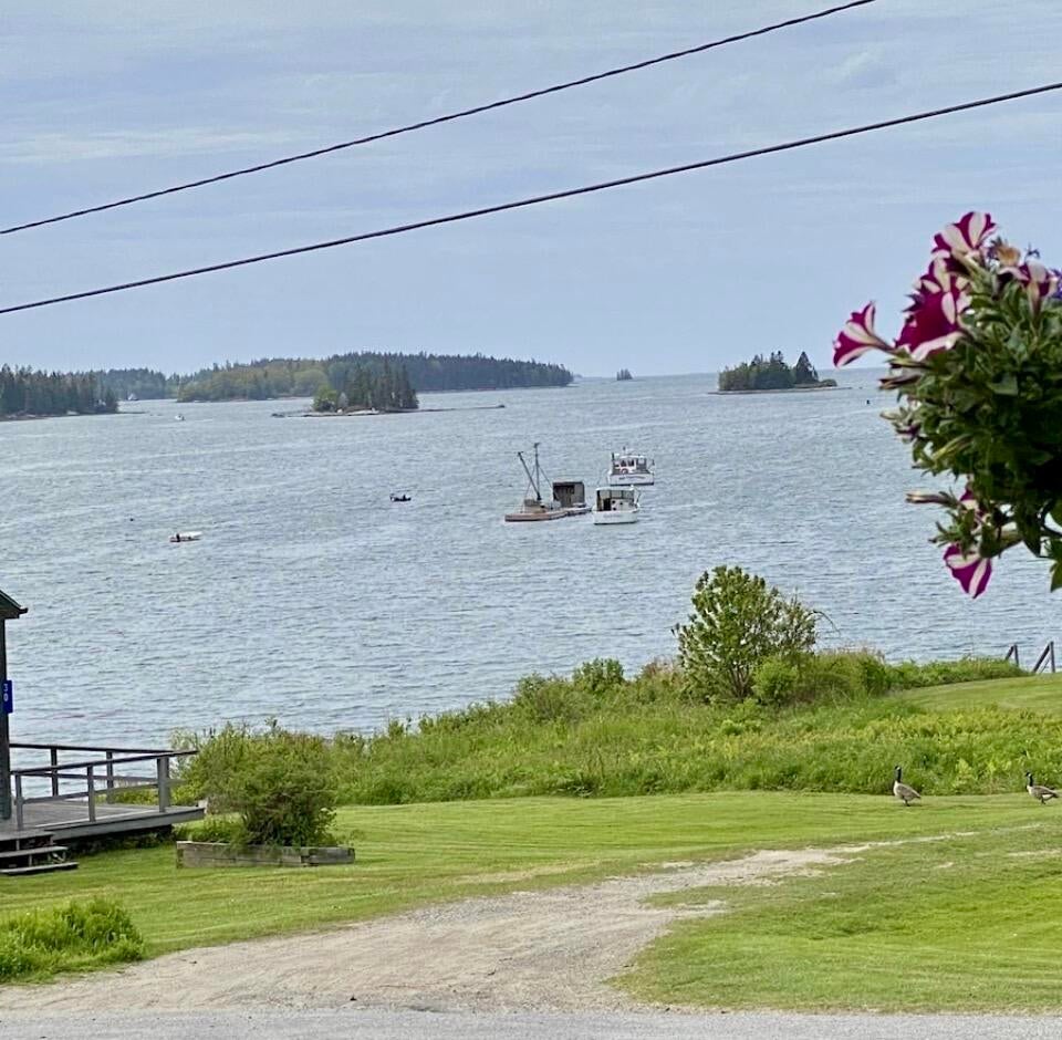 Photo of 24 Creek Road, Bremen, ME 04551 (MLS # 1662132)