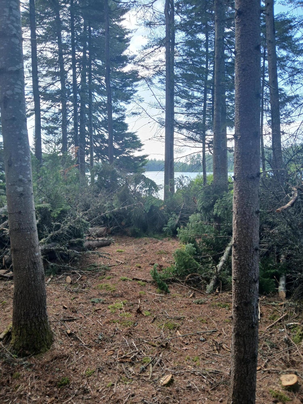 Photo of Lot # 16.1 Middle Road, Carrying Place Town Twp, ME 04961 (MLS # 1669963)