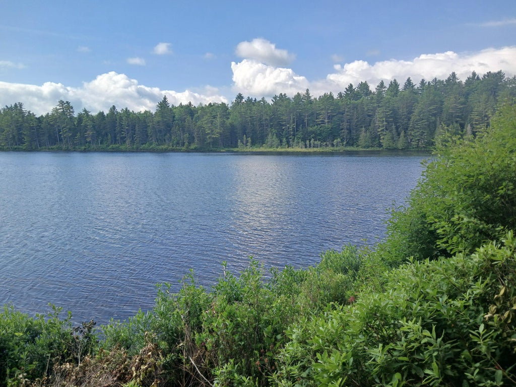 Photo of Lot # 16.1 Middle Road, Carrying Place Town Twp, ME 04961 (MLS # 1669963)