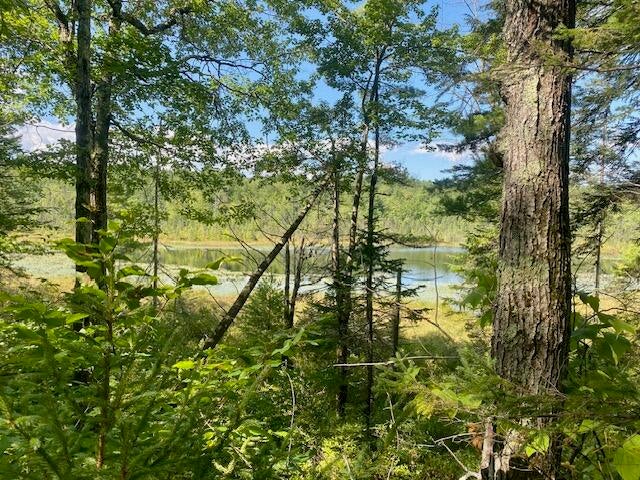 Photo of 54AC Haley Town Road, Fryeburg, ME 04037 (MLS # 1683801)